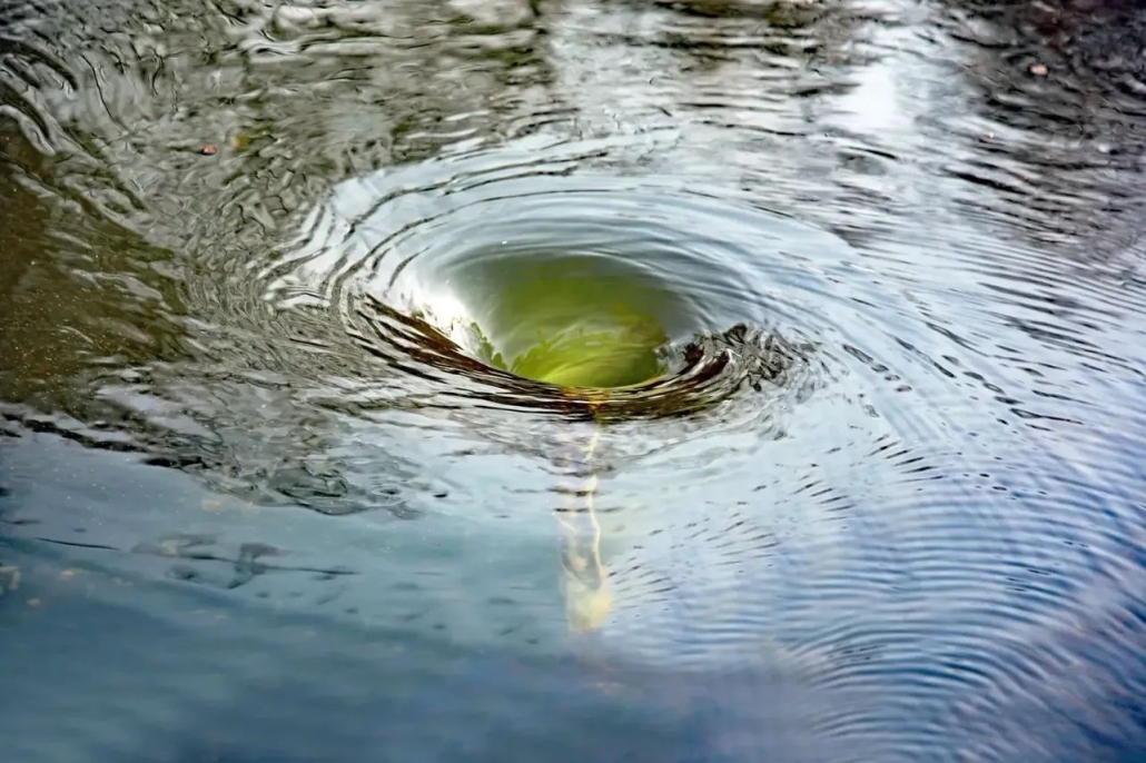 Vortex