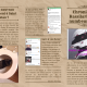 Chroniques Rassilariennes n°2