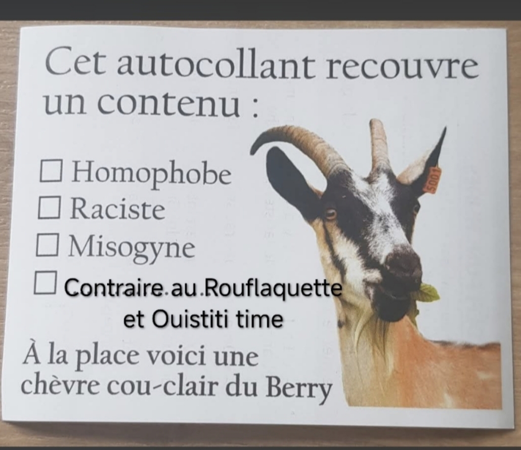 Rouflaquette et Ouistiti Time